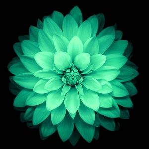 Meet your Posher, Joan